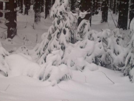 Lejlighed Bodehexe 2 Braunlage